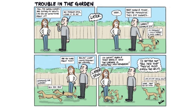 cartoongarden 768x431