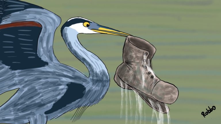cartoonheron 768x431
