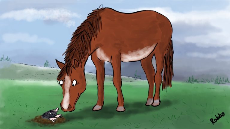 cartoonhorse 768x431