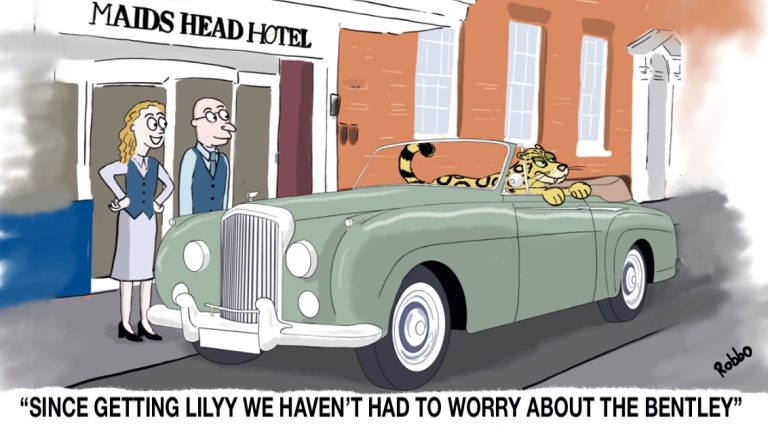cartoonmaidshead 1 768x431