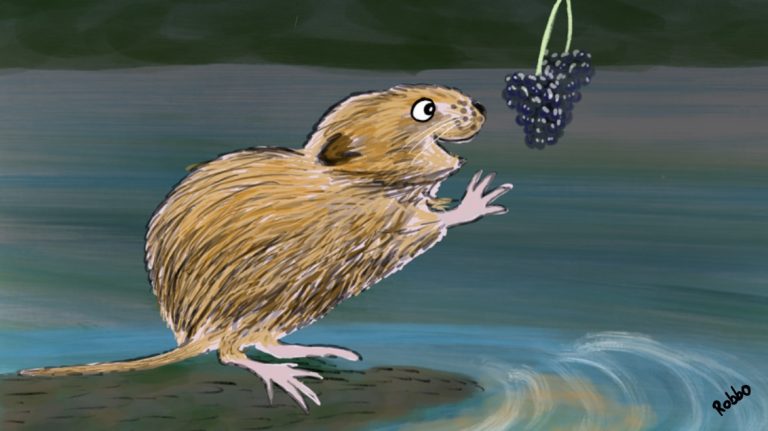 cartoonmouse 768x431